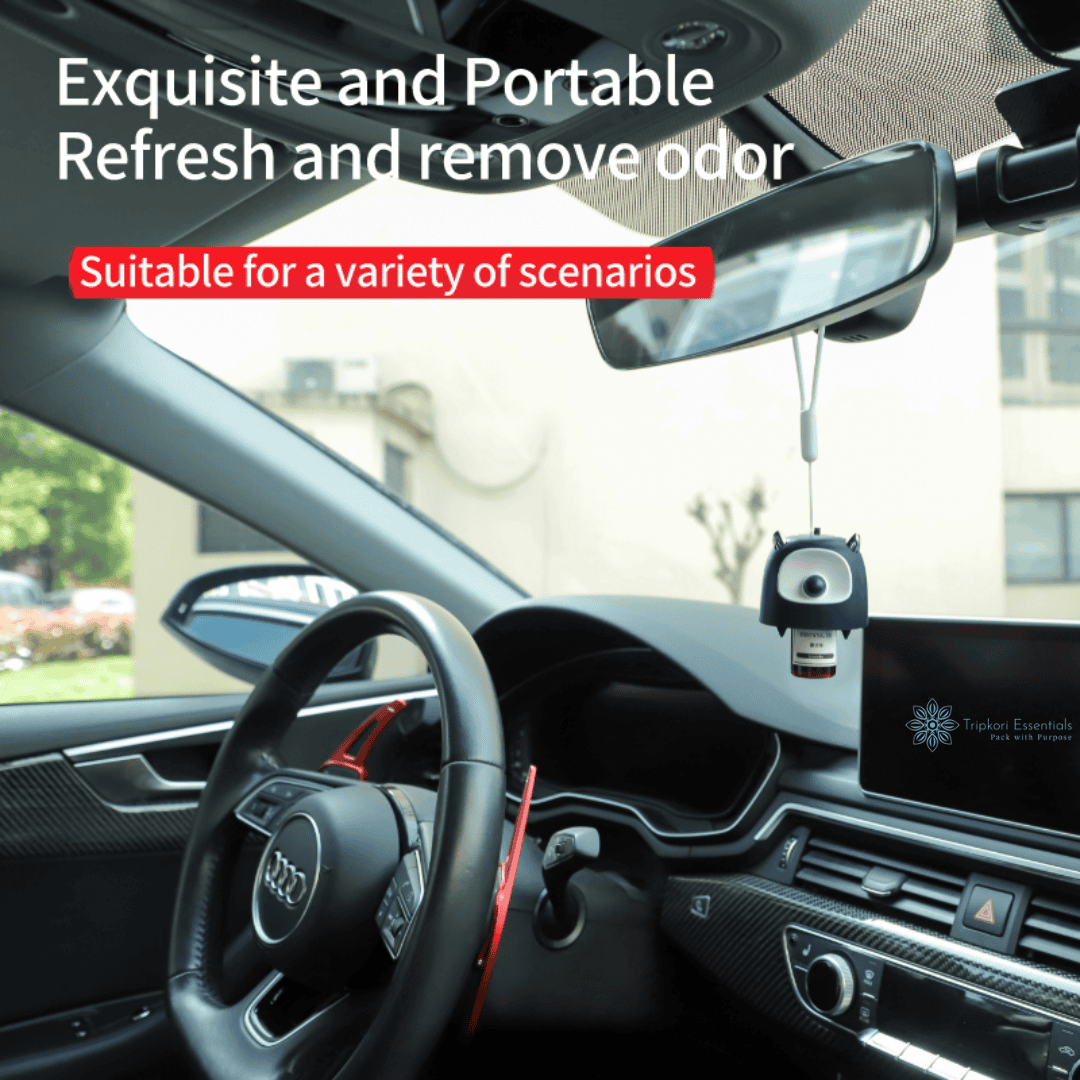 Aroma Diffusers in Cars
