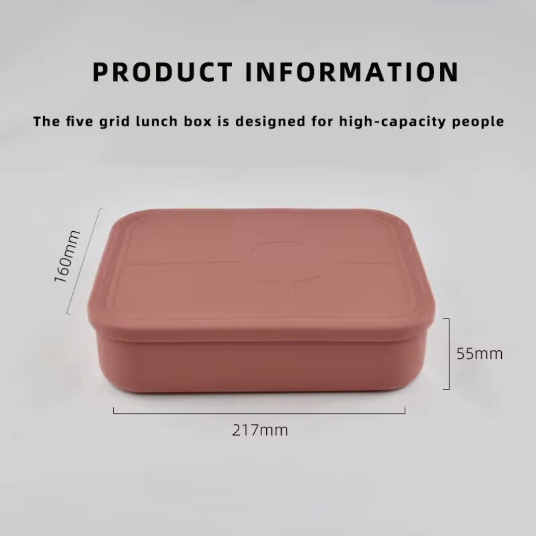 Product Dimension 5 compartment