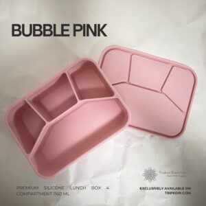 4 compartment silicone lunch box