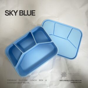 4 compartment silicone lunch box